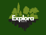 Explora Men7e